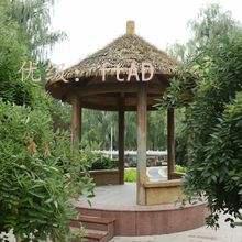 Ա