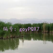 ۾