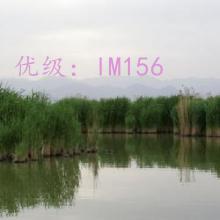 ۾